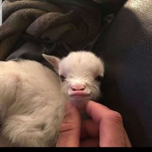 Meet your Posher, Kimberly